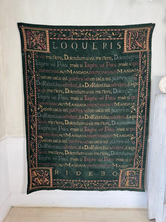64x49 Vintage Woven Latin Tapestry Loqueris Ridebo Horace Quote