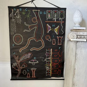 1962 FRESHWATER DYDRA Gráfico mural botánico francés vintage, raro arte mural educativo de mediados de siglo, póster ecléctico, decoración retro