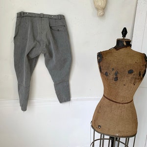 May include: A pair of gray riding breeches hanging on a white wall next to a vintage dress form.
