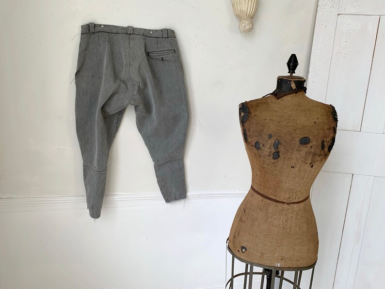 May include: A pair of gray riding breeches hanging on a white wall next to a vintage dress form.