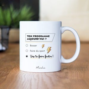 Mug - Ton programme aujourd'hui ? Vas te faire foutre - Mug humoristique - mug marrant - phrase drôle - Cadeau humour