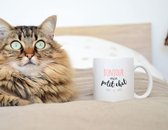 Mug Chat Rose Bonjour Mon Petit Chat Mug Saint Valentin Etsy