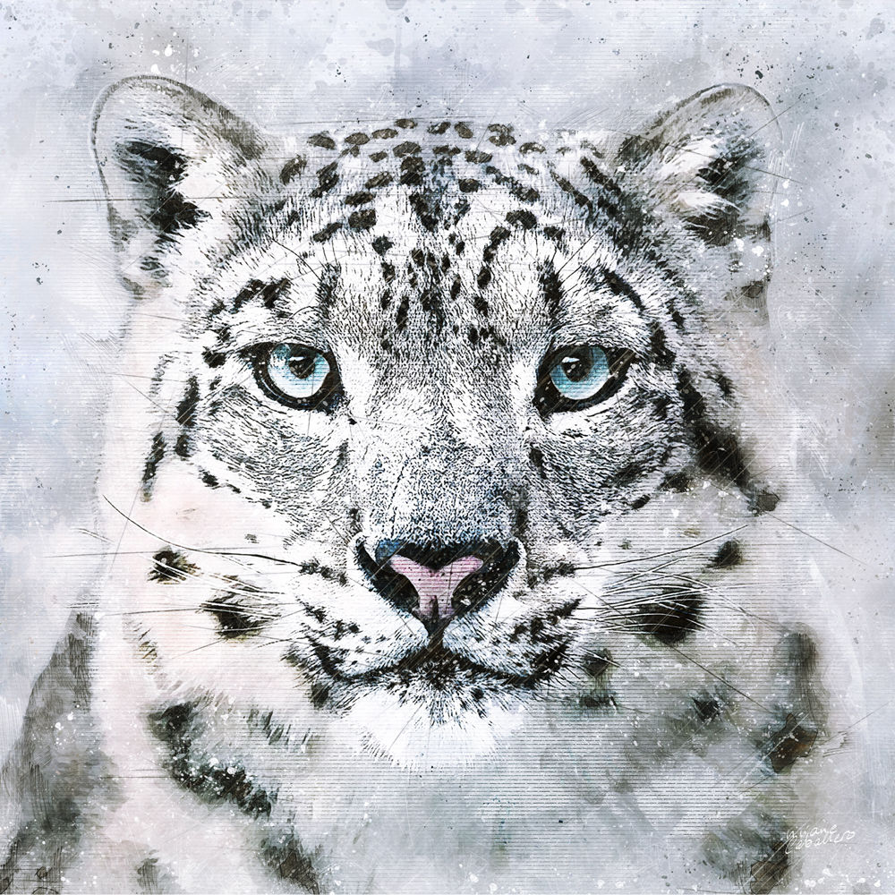 Léopard Des Neiges - Collection Wildlife