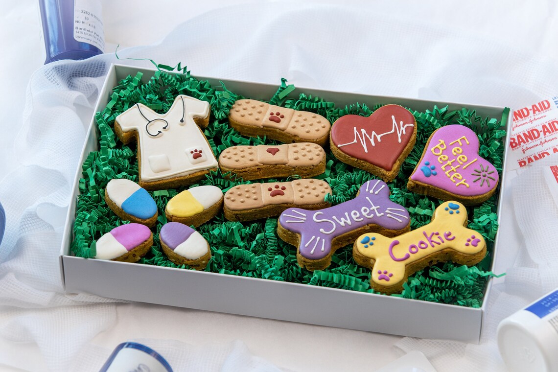 Dog Get Well Gift Treats Set All Natural Organic Etsy