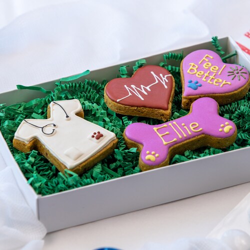 Dog Get Well Gift Treats Set All Natural Organic Etsy