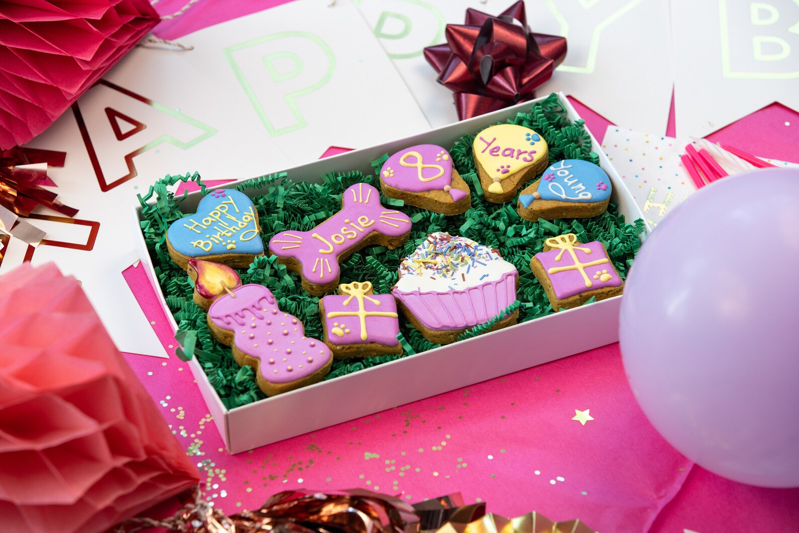 Birthday Dog Treats Big Set / Birthday Dog Biscuits/ Happy Etsy