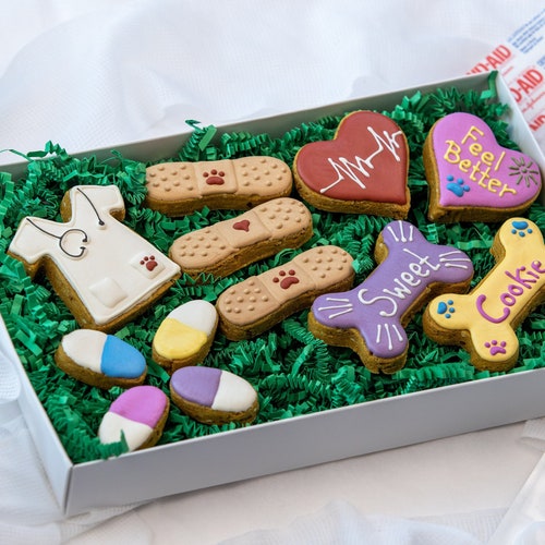 Get Well Dog Gift Basket Deluxe Etsy