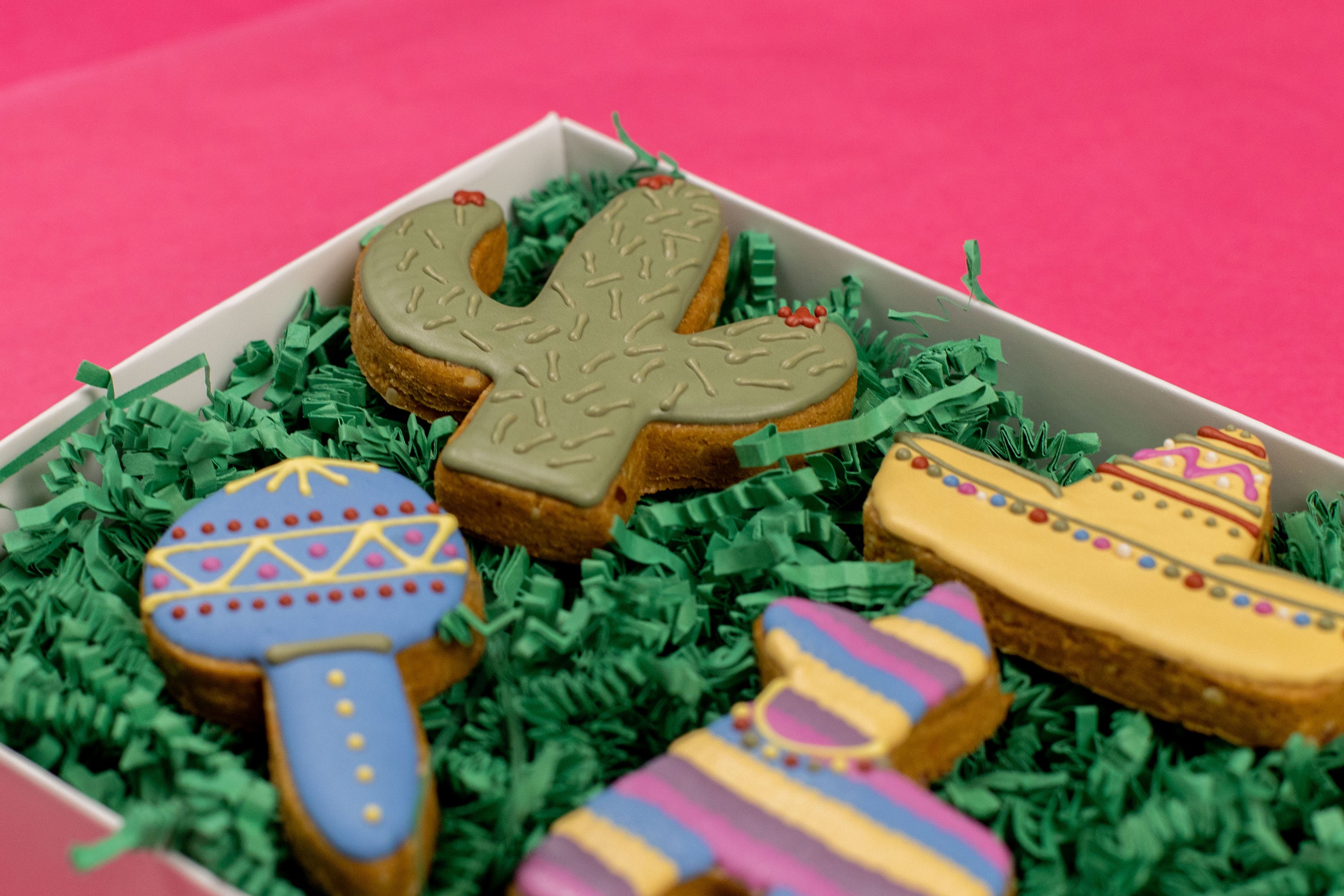 Cinco De Mayo Dog Treats Set / Birthday Dog Biscuits/ Etsy