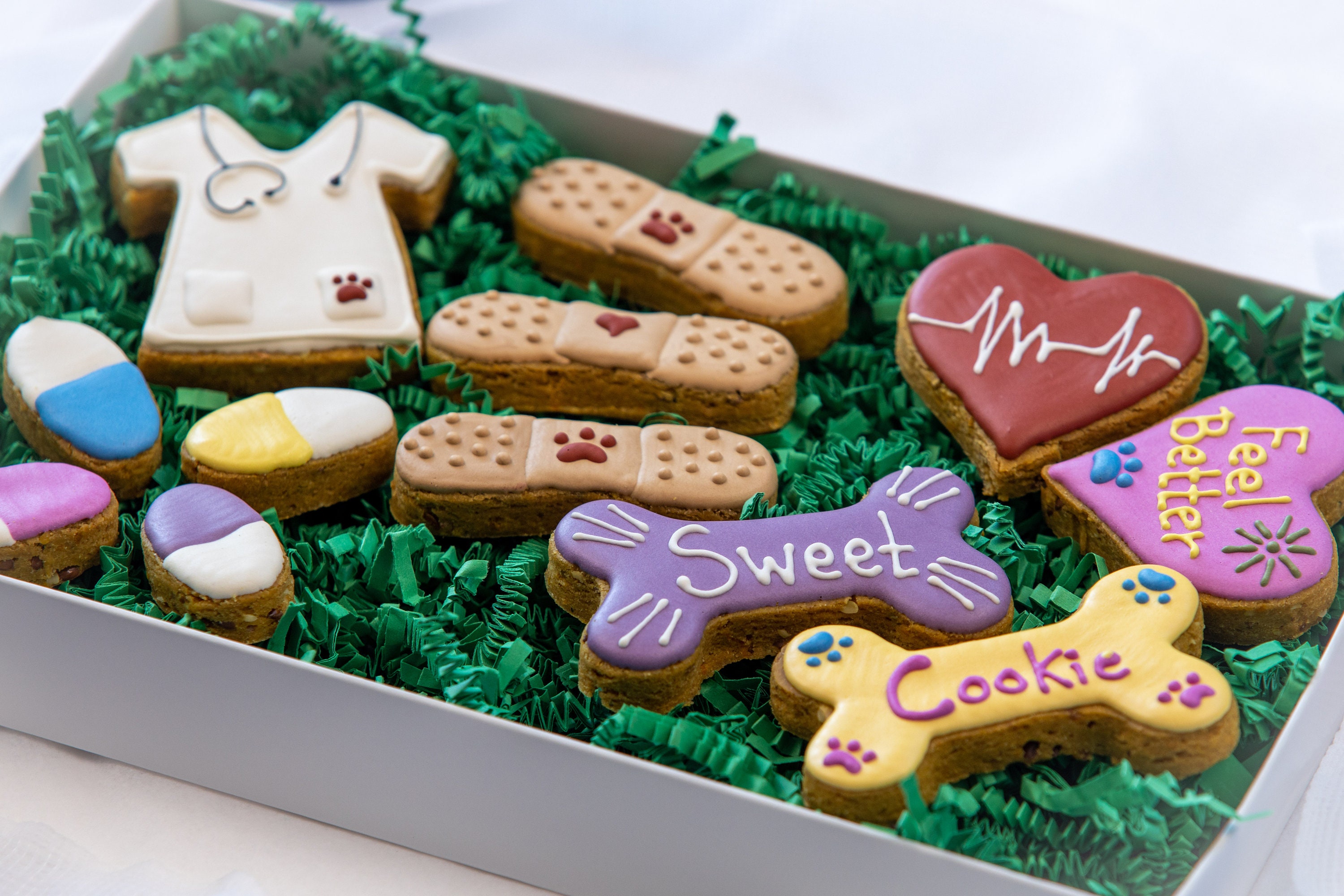 Dog Get Well Gift Treats Set All Natural Organic Etsy