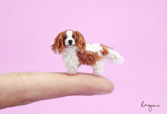 tiny cavalier king charles spaniel