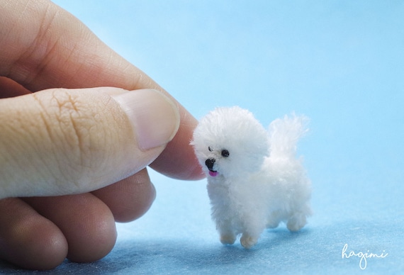 bichon mini