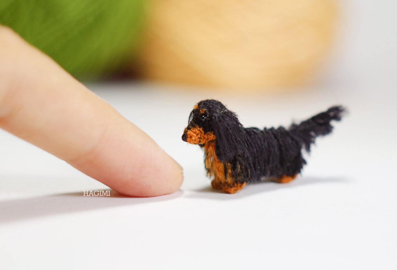 black and tan mini dachshund long hair