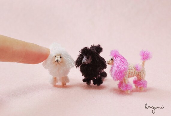 micro poodle dog