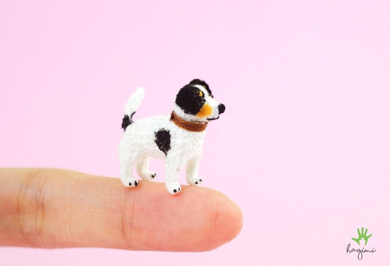 tiny jack russell terrier