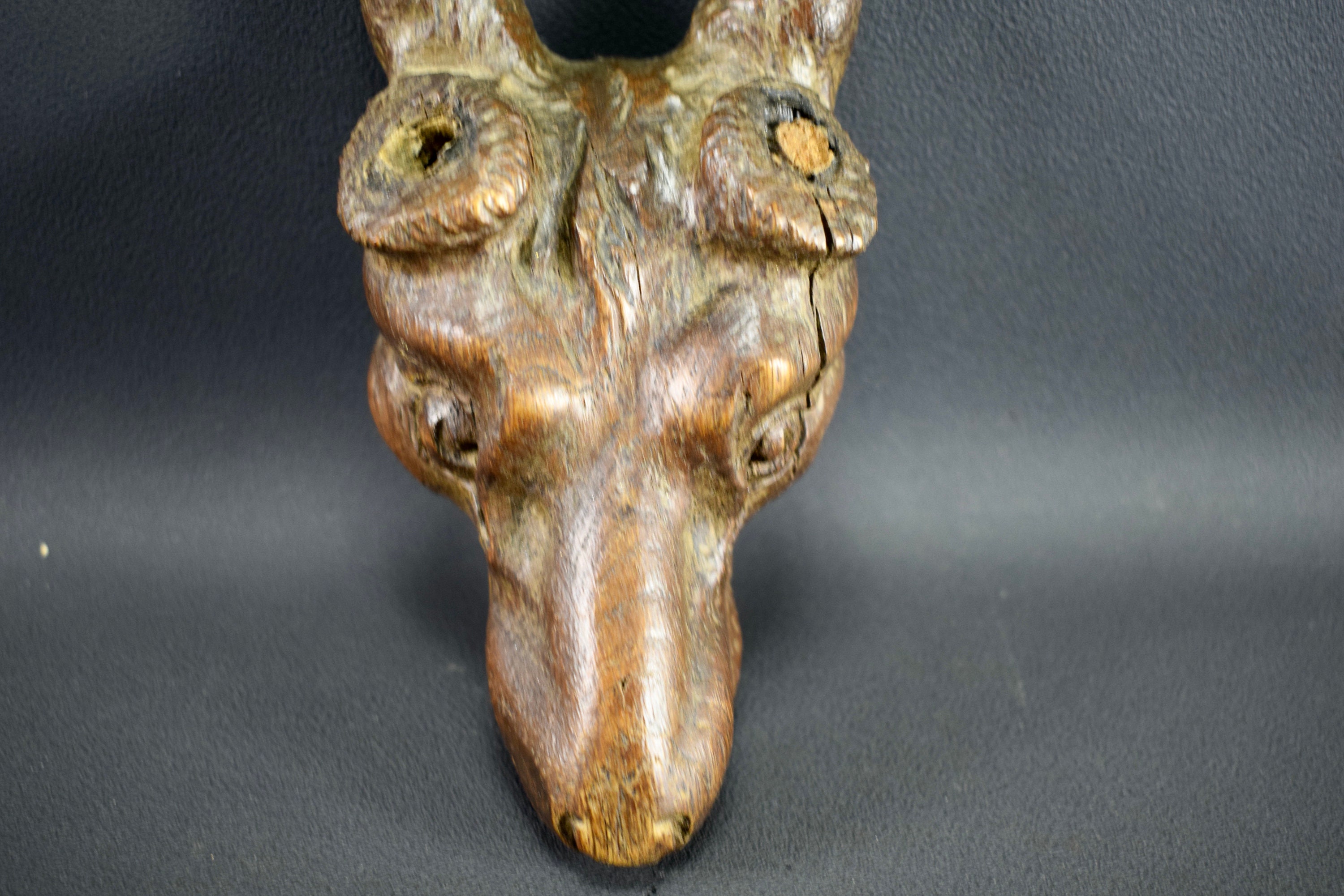 Vintage French Carved wood animal head 19th century Etsy
