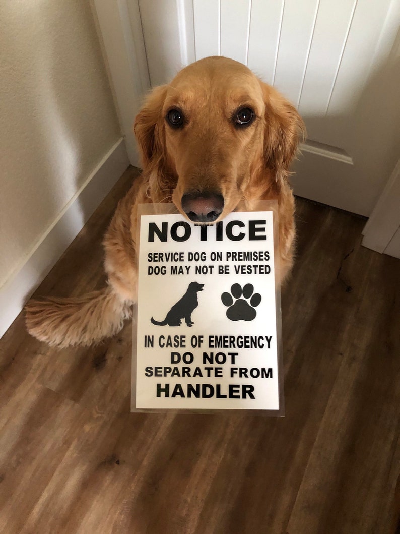 Service Dog Signs / Custom Signs | Etsy