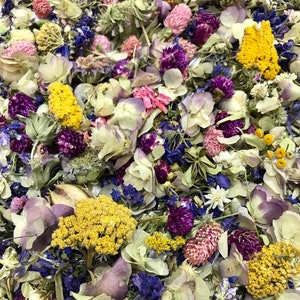 VanCortlandt Farms Everlasting Dried Floral Flower Confetti with Yellow