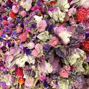 VanCortlandt Farms Everlasting Dried Floral Flower Confetti with No Yellow