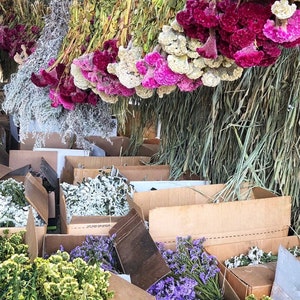 K&ouml;nnte beinhalten: Eine Auswahl getrockneter Blumen und Kr&auml;uter ist in Kartons angeordnet. Die Blumen umfassen wei&szlig;e, violette und gelbe Bl&uuml;ten. Die Kr&auml;uter sind gr&uuml;n und braun.