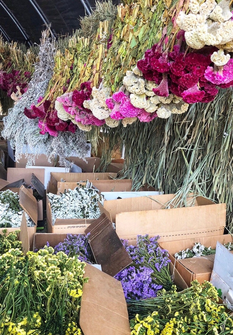 K&ouml;nnte beinhalten: Eine Auswahl getrockneter Blumen und Kr&auml;uter ist in Kartons angeordnet. Die Blumen umfassen wei&szlig;e, violette und gelbe Bl&uuml;ten. Die Kr&auml;uter sind gr&uuml;n und braun.