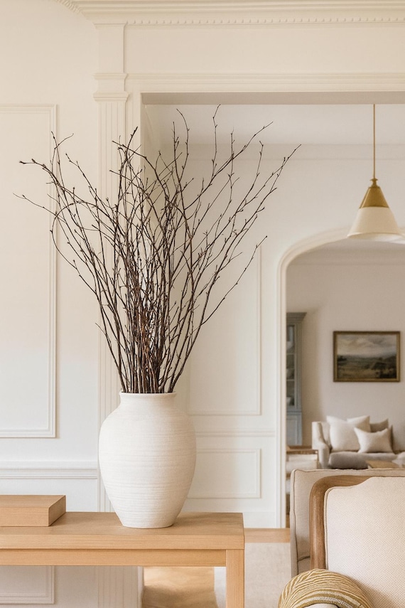 Vancortlandt Farms Dried Set of 60 Birch Branches Stems - Natural Flowers Everlasting Farmhouse Timeless Country Home Twigs Tall Vase Decor