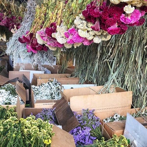 May include: A collection of dried flowers in various colours, including white, pink, purple, and yellow, are arranged in cardboard boxes. The flowers are displayed in a rustic setting, with dried grasses and other natural elements in the background.