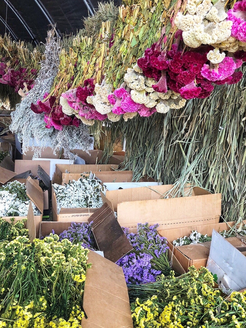 May include: A collection of dried flowers in various colours, including white, pink, purple, and yellow, are arranged in cardboard boxes. The flowers are displayed in a rustic setting, with dried grasses and other natural elements in the background.