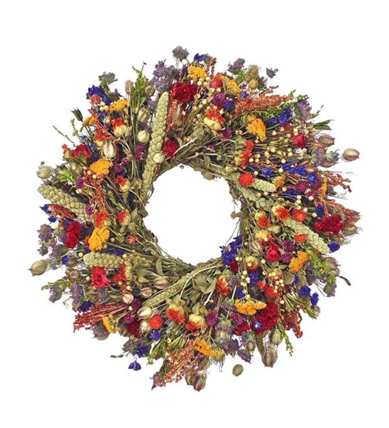 VanCortlandt Farms Natural Dried Handmade Colorful Nature's Palet…