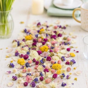 VanCortlandt Farms Natural Everlasting Dried Floral Flower Confetti with Yellow