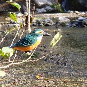 Hanging wood bird, kingfisher
