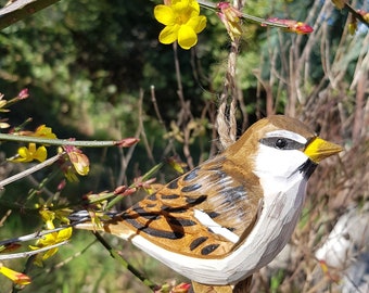 Oiseau bois à suspendre, moineau domestique, oiseau des jardins