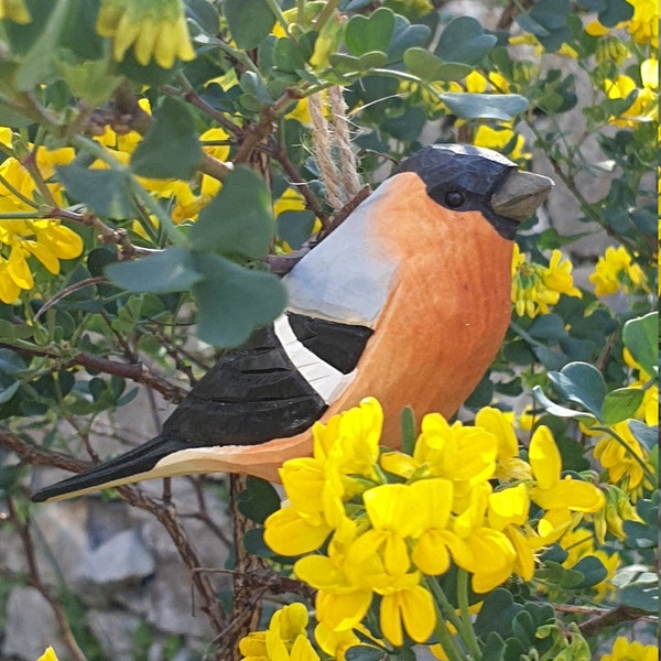 Bouvreuil-pivoine, Oiseau bois à suspendre