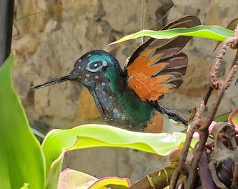 Hanging flying hummingbird, exotic birds,