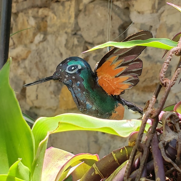 Colibri en vol à suspendre, oiseau exotique