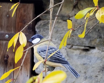 Oiseau bois, mésange  charbonnière