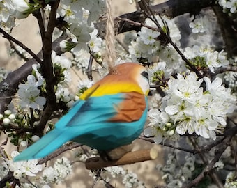 Oiseau bois, guépier,