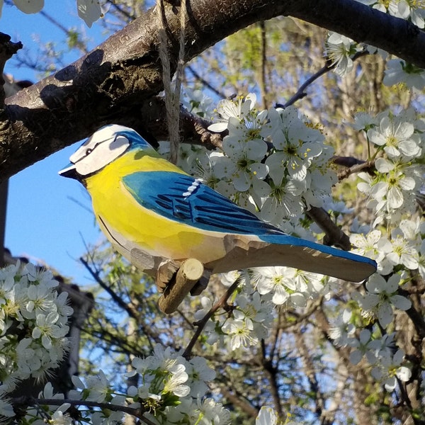 Hanging wood bird, blue tit