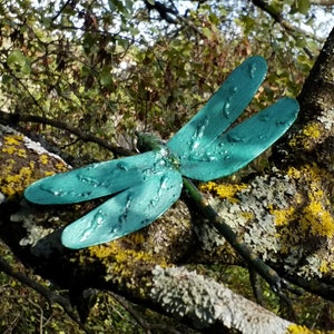 Dragonfly, recycled metal insect, beetle