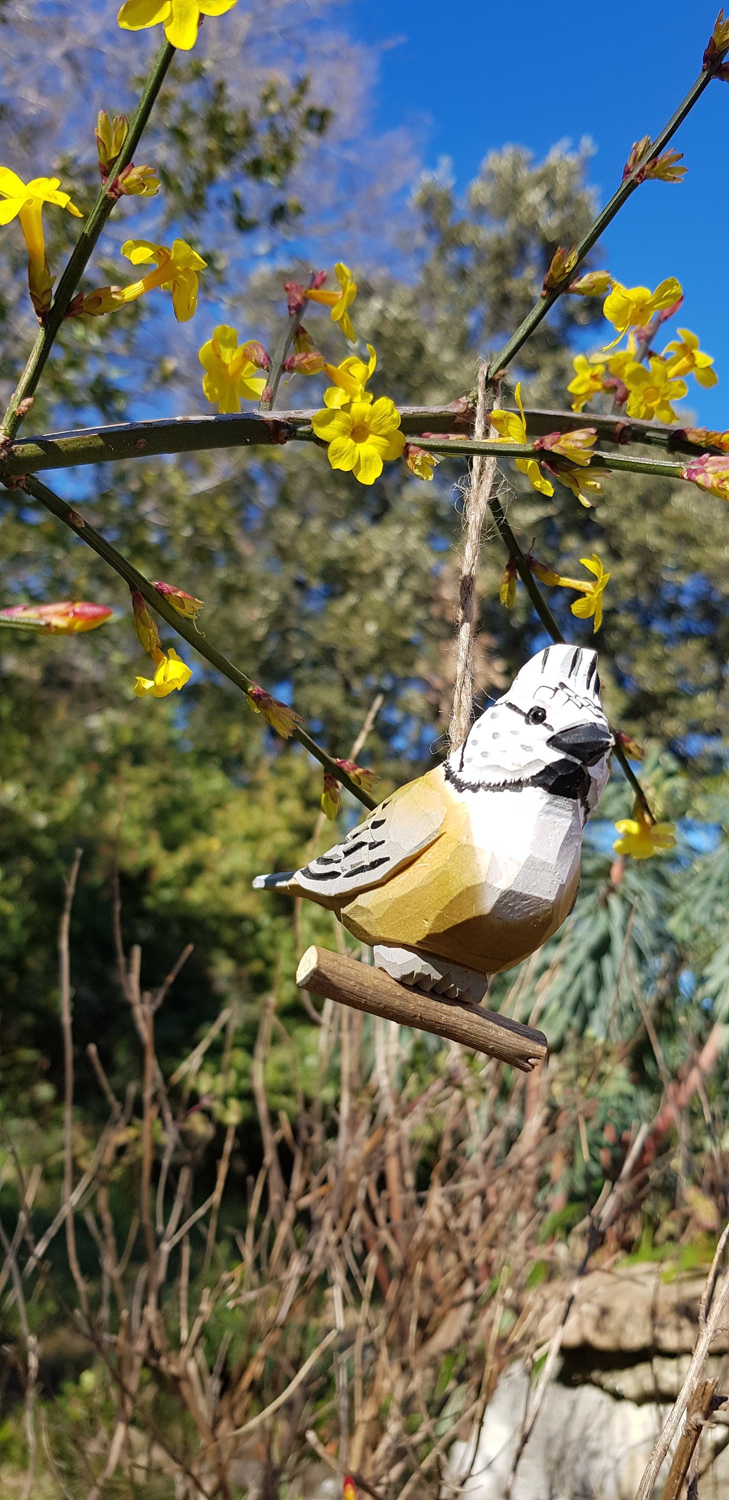 Oiseau Bois, Mésange Huppée, Oiseau Des Jardins, Suspension,