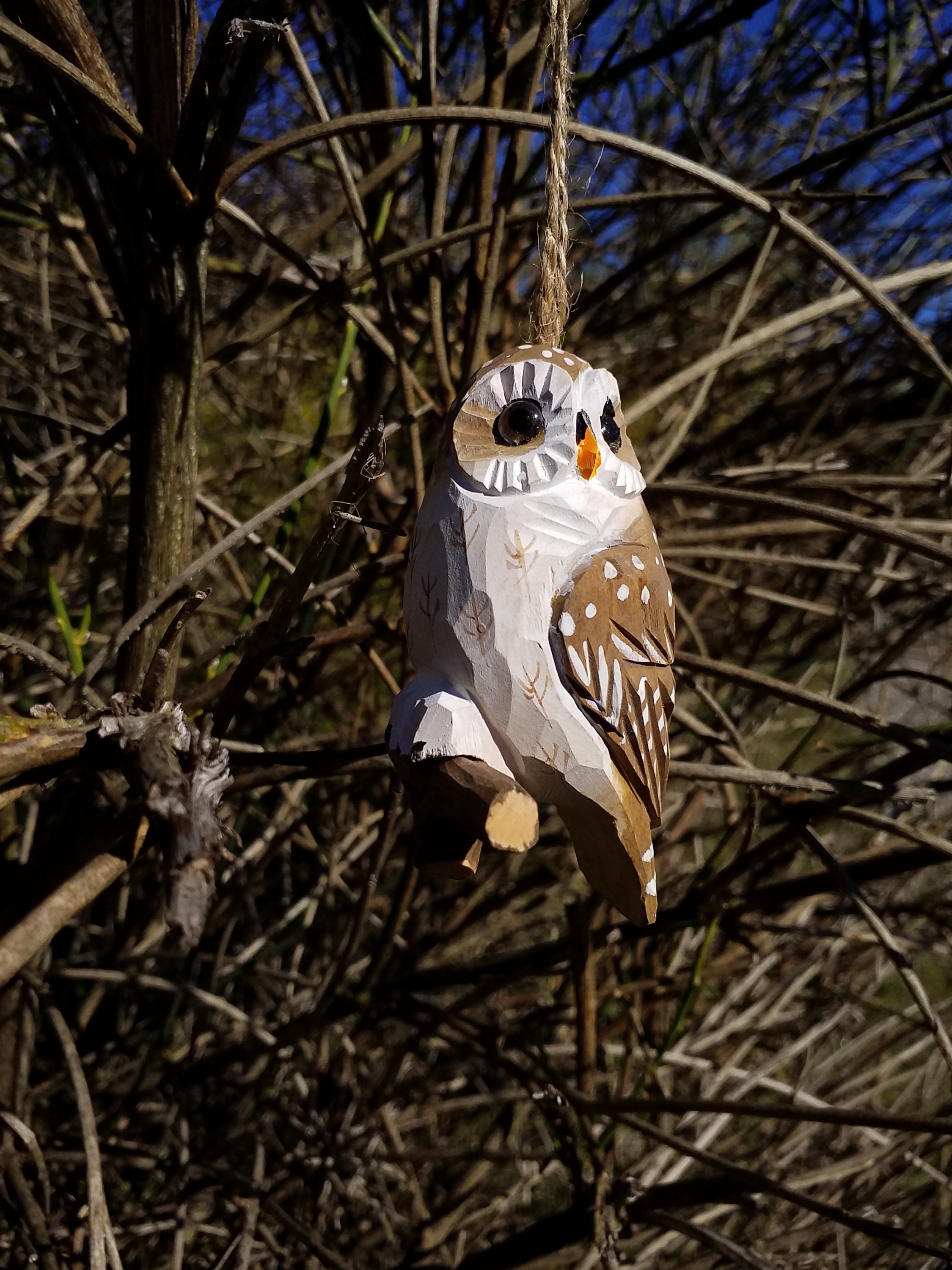 Oiseau Bois à Suspendre, Chouette, Chouette-Chevêche