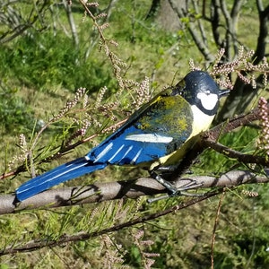 Peut inclure: Un oiseau bleu avec une poitrine jaune et une tête noire perché sur une branche avec des fleurs roses.