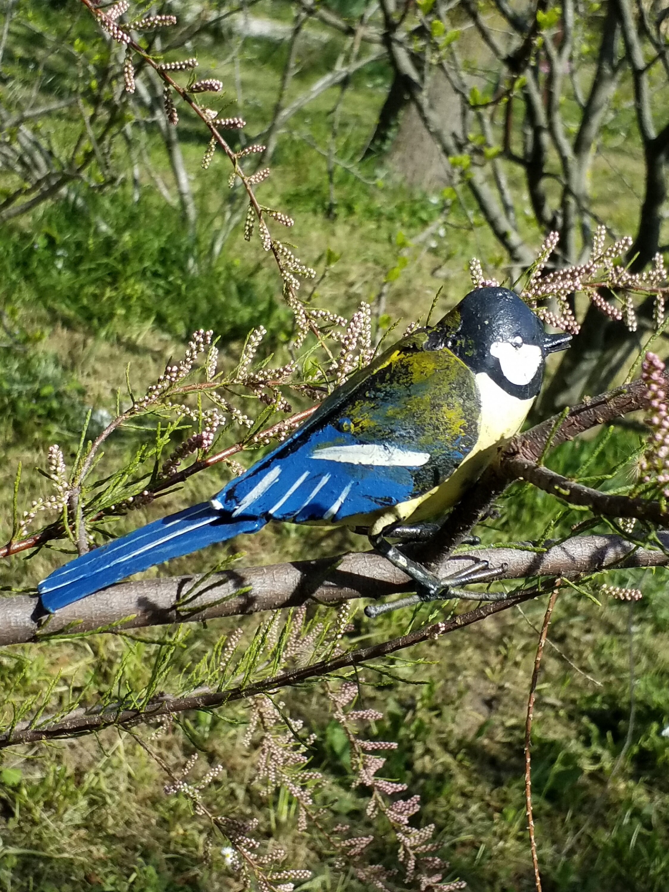 Mésange Bleue en Metal Recyclé, Oiseaux Des Jardins