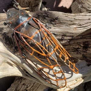 May include: A metal cicada sculpture with black and orange paint. The wings are made of wire and are detailed with a lattice pattern. The sculpture is sitting on a piece of driftwood.