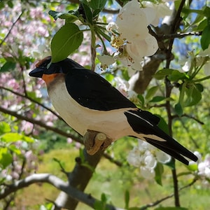 Pode incluir: Uma figurinha de pássaro de madeira preto e branco pousada em um galho de uma árvore florida. O pássaro tem um bico vermelho e uma barriga branca. A árvore está florida com flores brancas e rosadas.