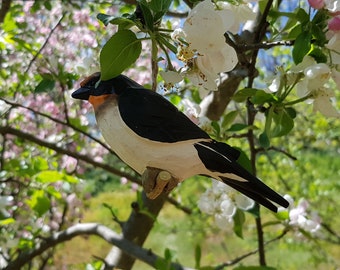 Oiseau bois à suspendre, hirondelle, hirondelle rustique