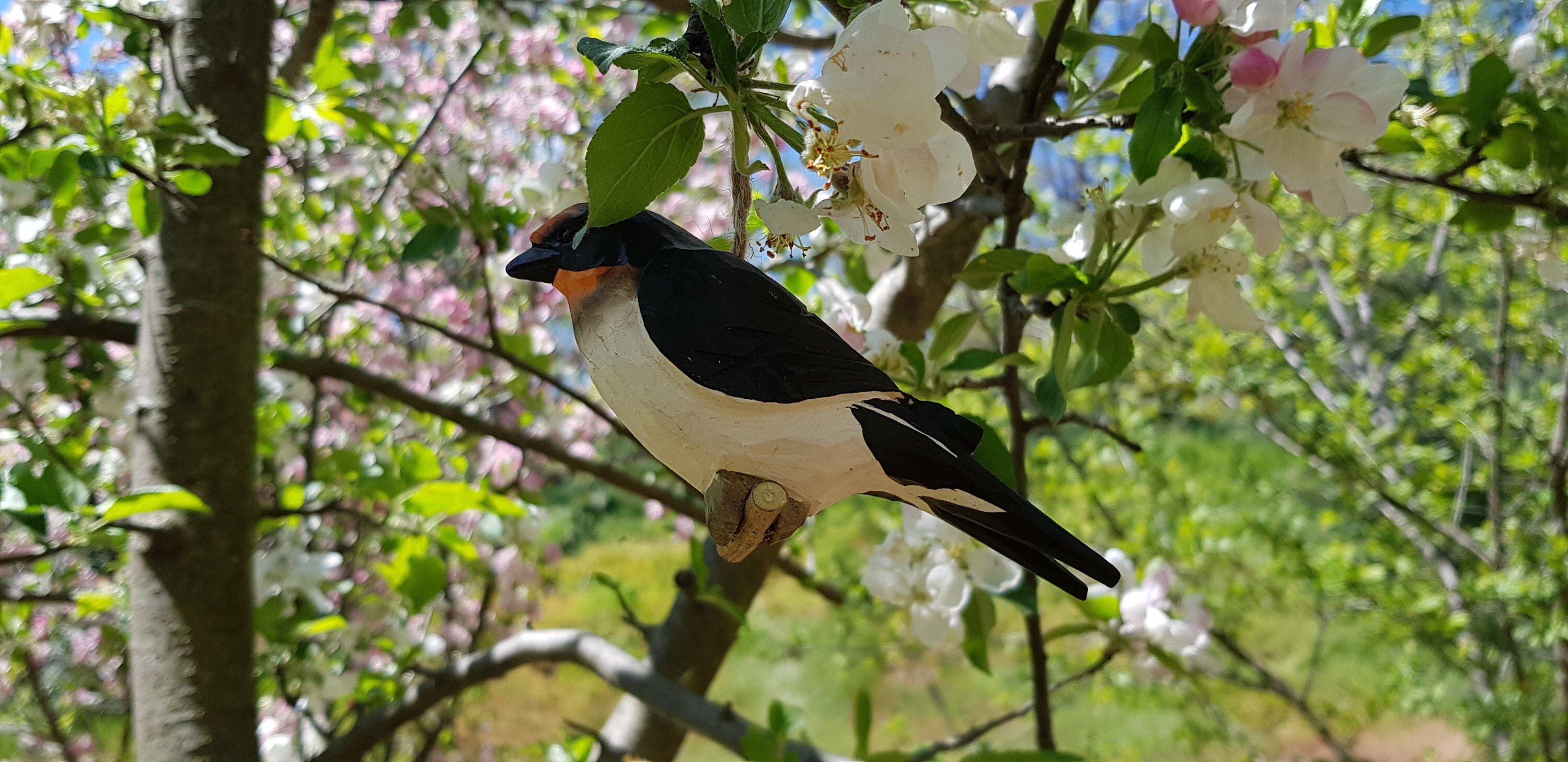 Hanging wood bird, swallow