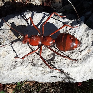 formiga vermelha em metal reciclado, inseto, decoração de jardim, entomologia