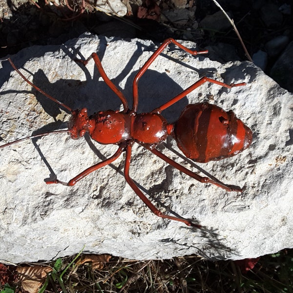 hormiga roja en metal reciclado, insecto, decoración de jardines, entomología