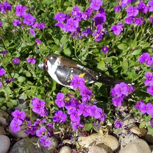 chardonneret en metal recyclé, oiseaux des jardins image 10