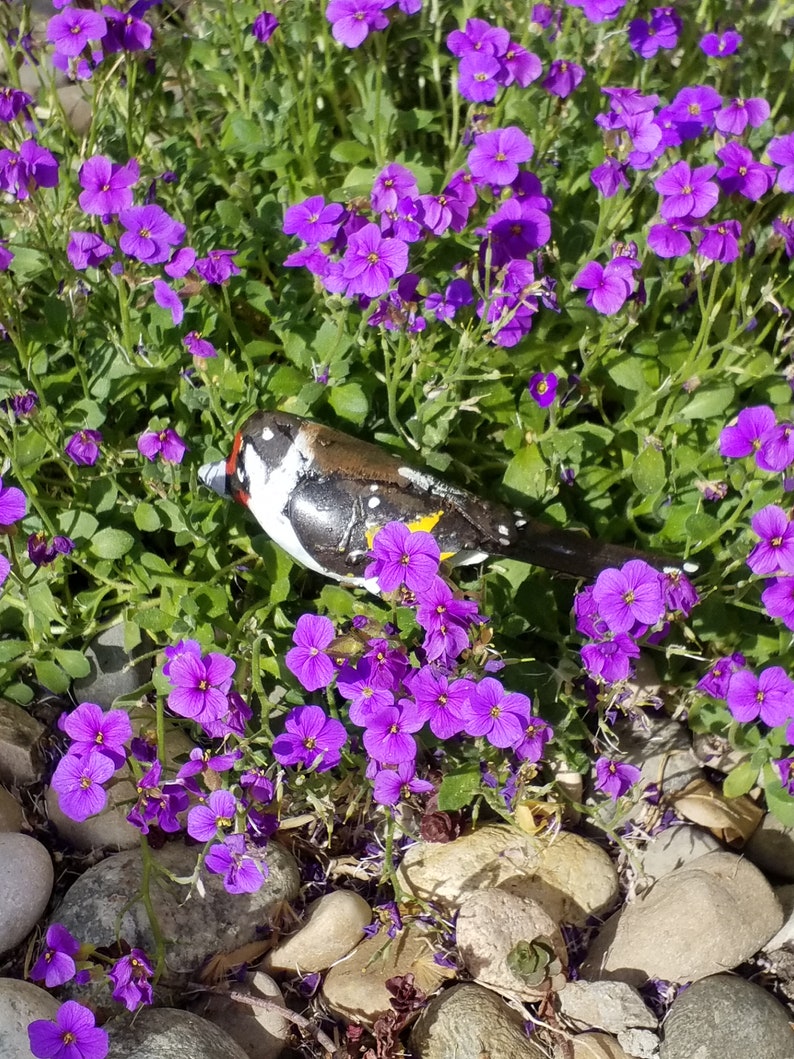 chardonneret en metal recyclé, oiseaux des jardins image 10